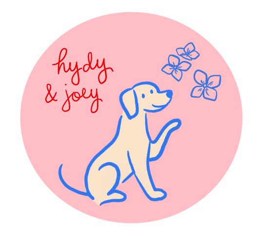 Hydy and Joey gift card