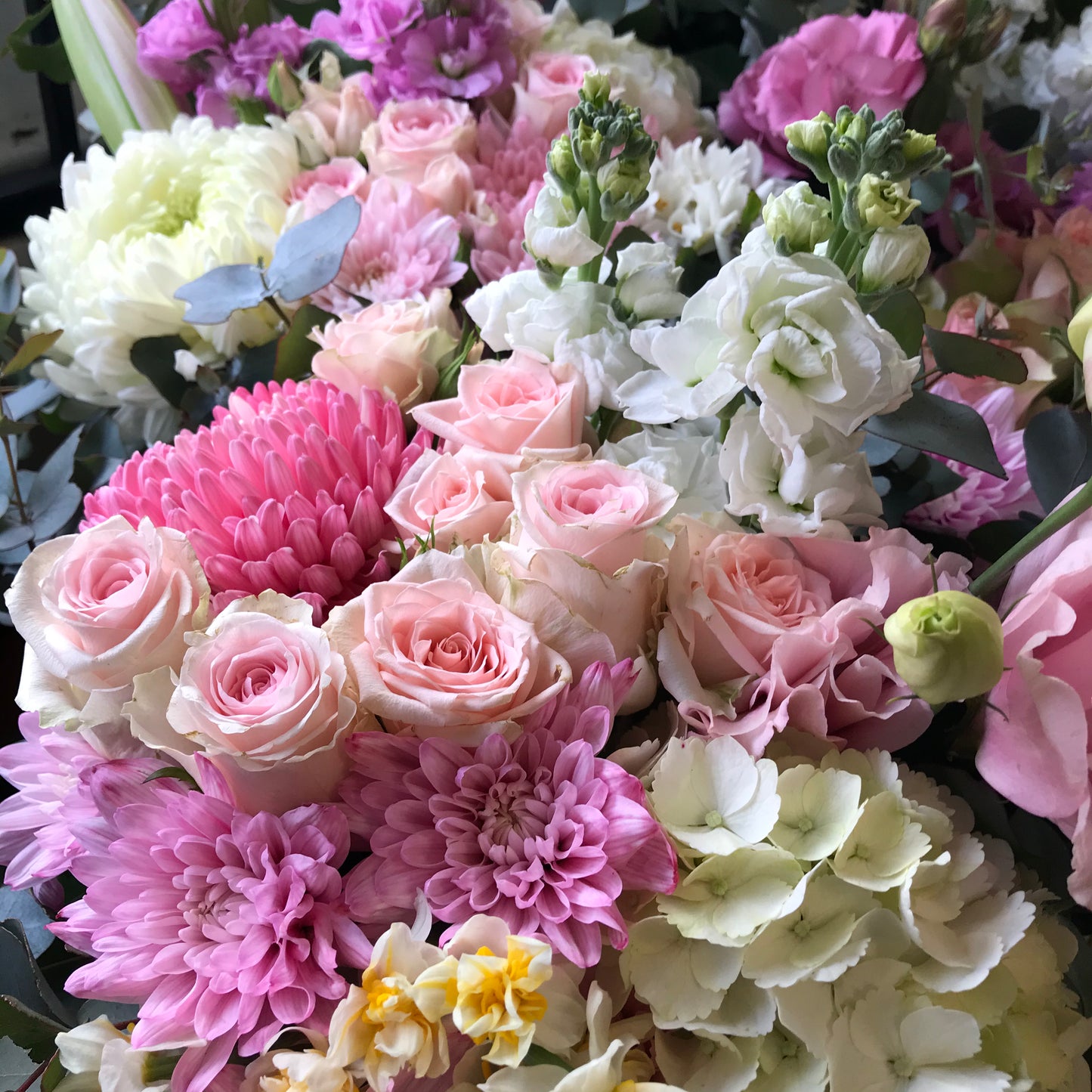 Pretty in Pink on Saturday 16th May